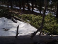 snow dam - pretty light.jpg